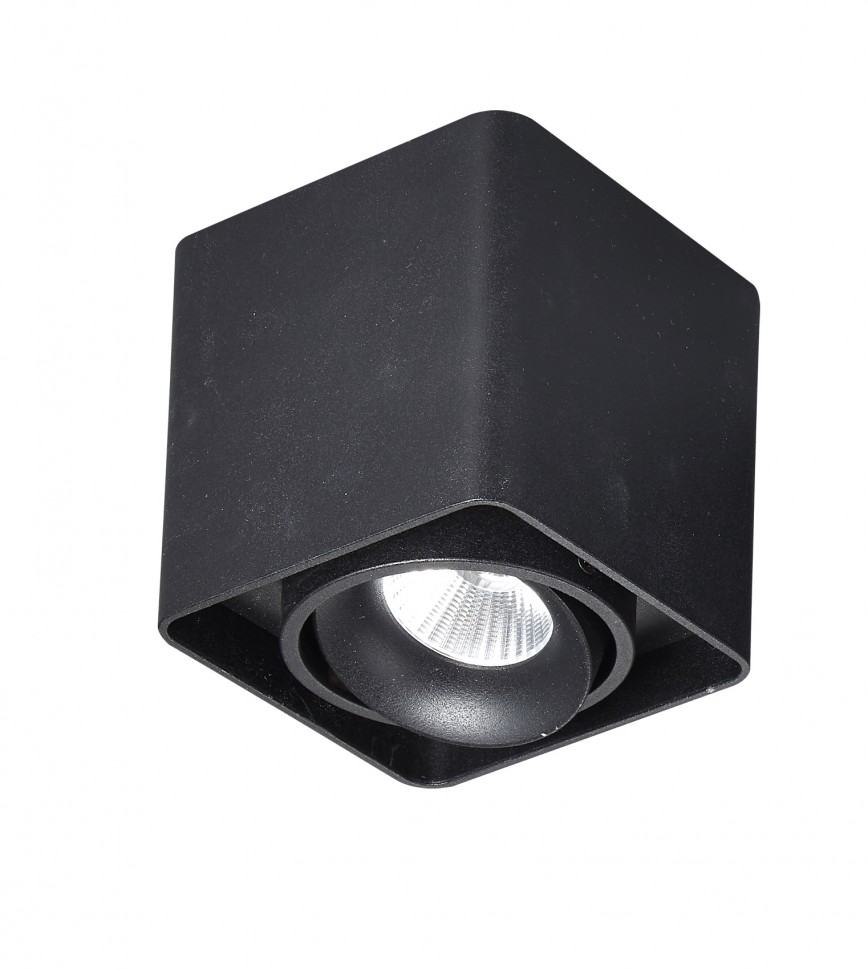 Накладной светильник LED spot light SLC78004/10W_b Raynice